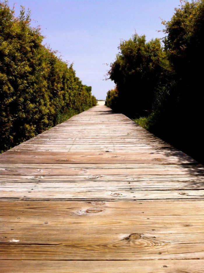 boardwalk