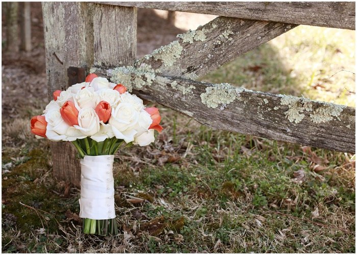 66396_10151272564677820_53108490_n