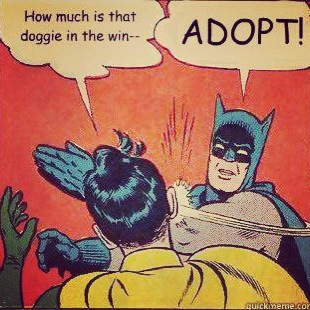 6a01053649b34f970b01901c08f4ed970b-350wi