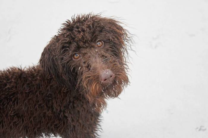 482417_10101462409932510_1931156267_n