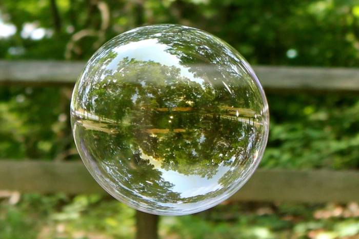 485595_10101401936876000_1008912672_n