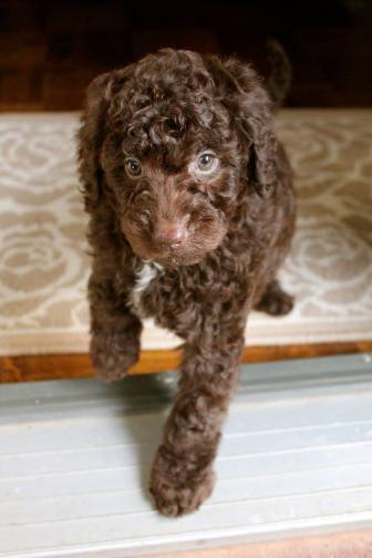 68615_10101393884468090_1616800733_n